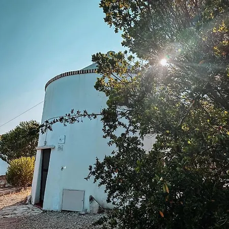 Moinho Da Pena - Local Feriehus Bairro (Santarem)
